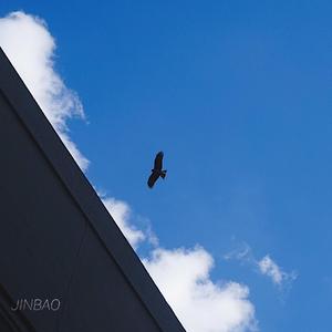 东京热中文字幕HD
