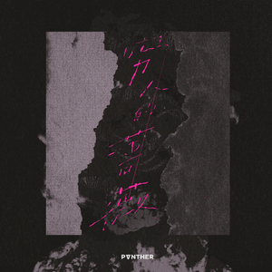 东京热中文字幕HD
